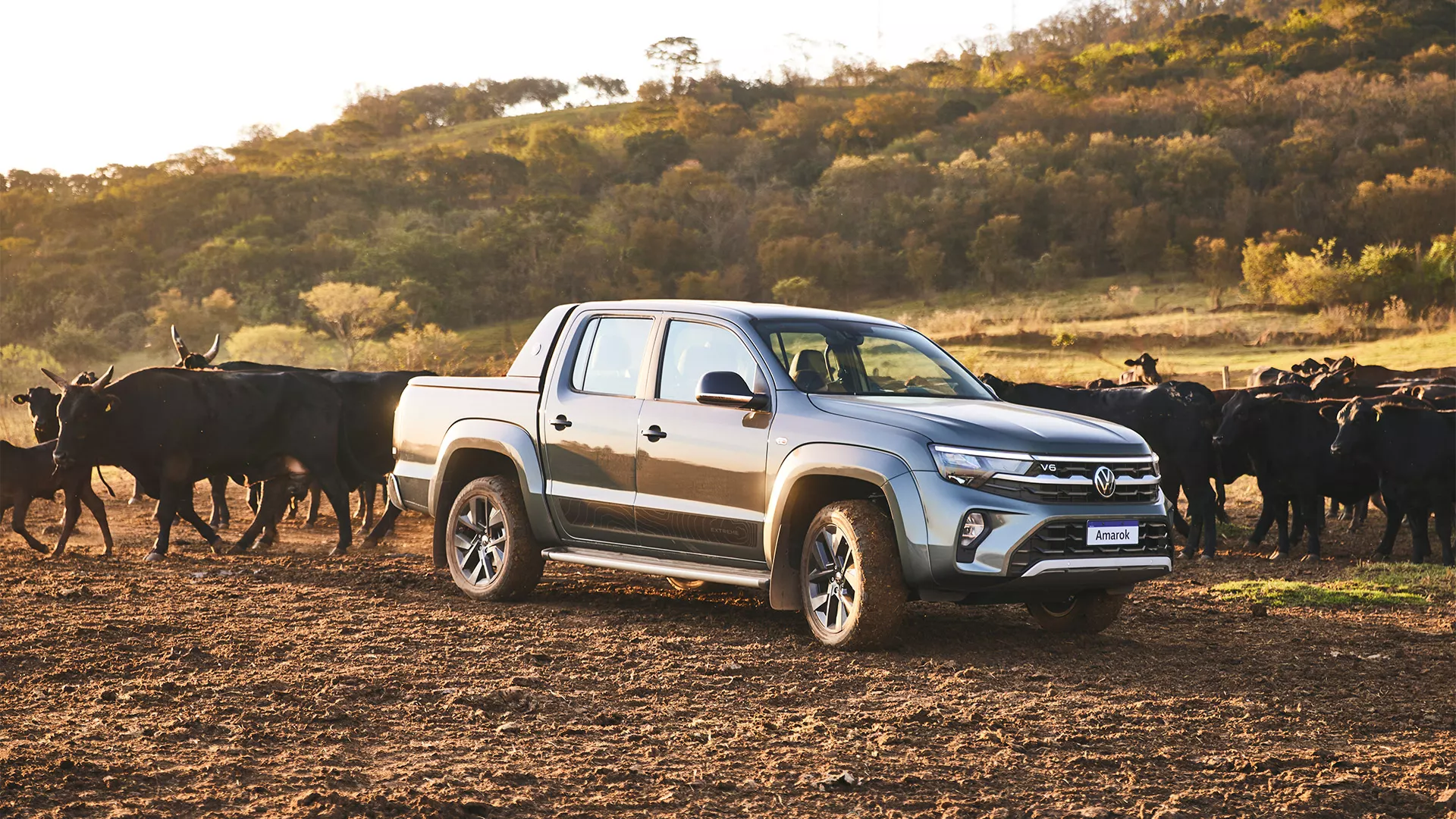 Amarok