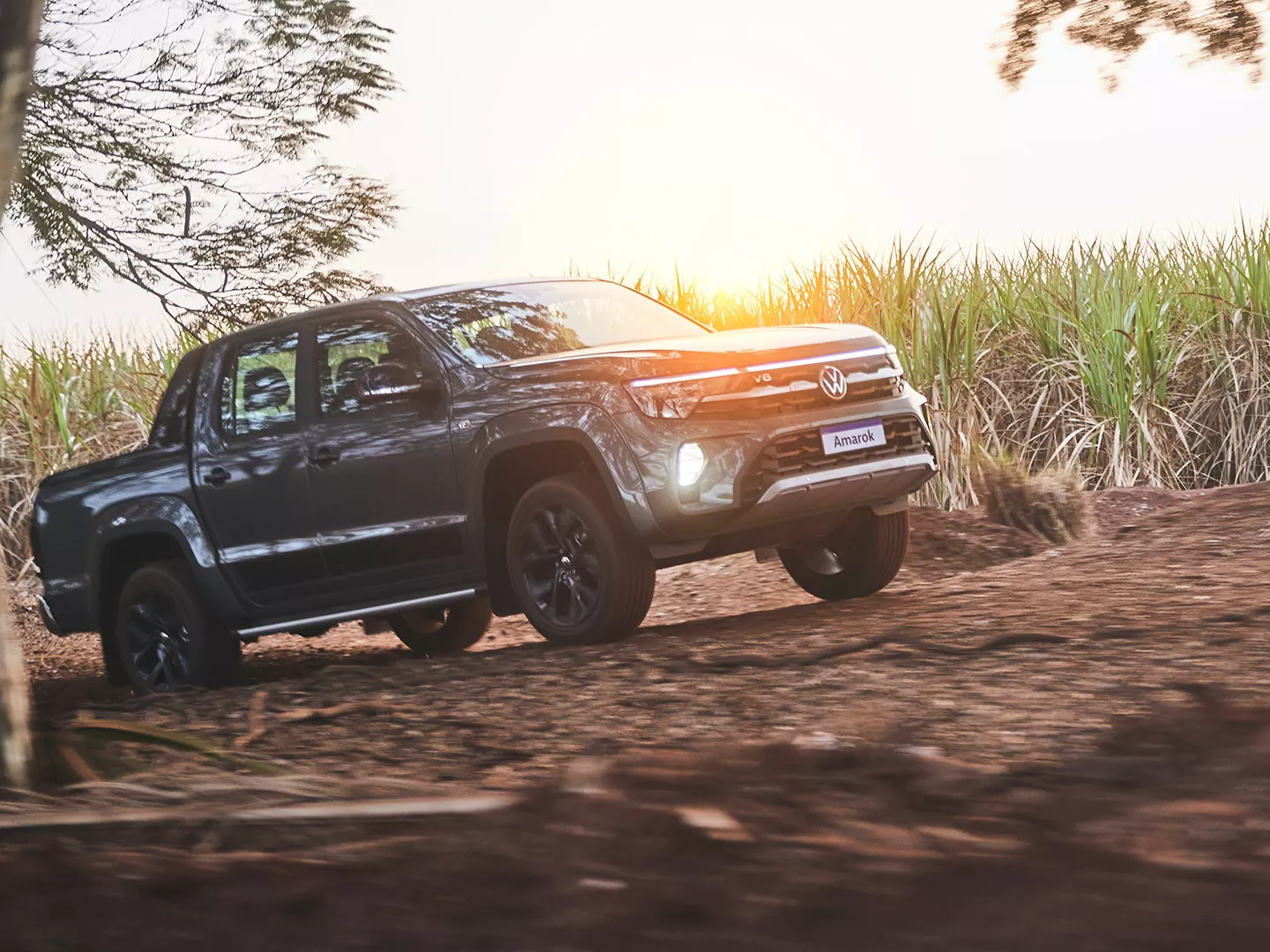 Amarok foto 8